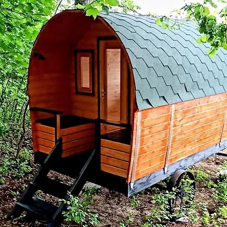 De Groupe Nature Proche Nancy * Marbache