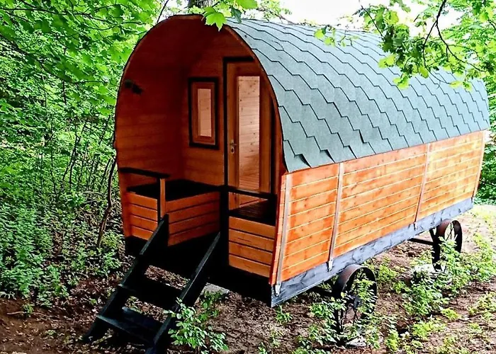 De Groupe Nature Proche Nancy * Marbache